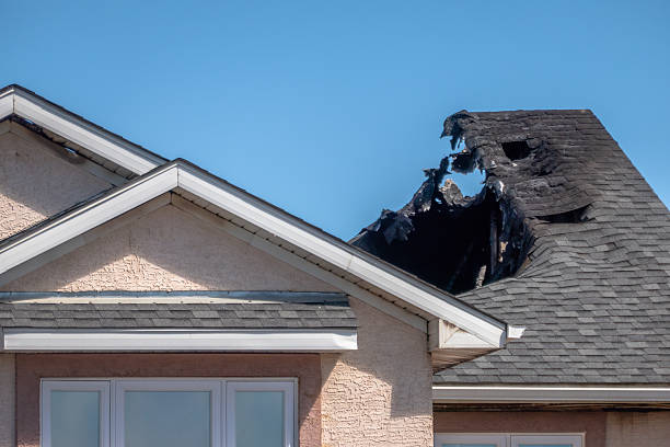 Top rated local Fire Damage Cleanup specialists in Camden, NJ